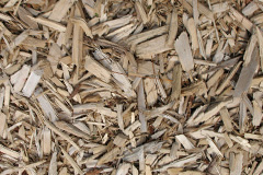 biomass boilers Tyrells Wood